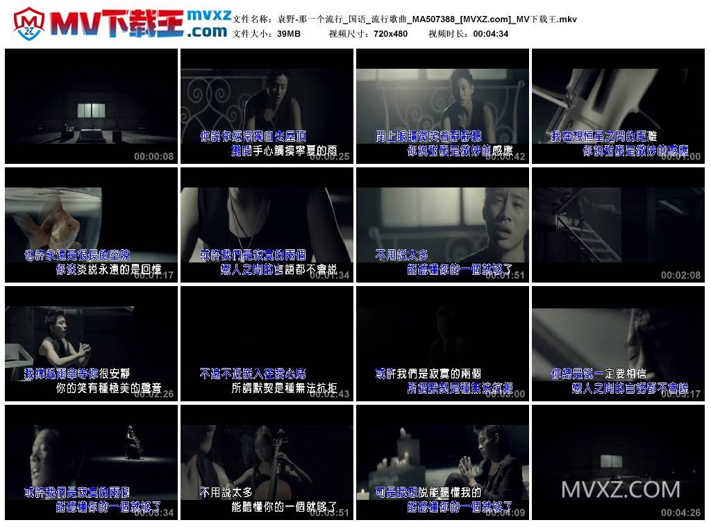 袁野-那一个流行_国语_流行歌曲_MA507388